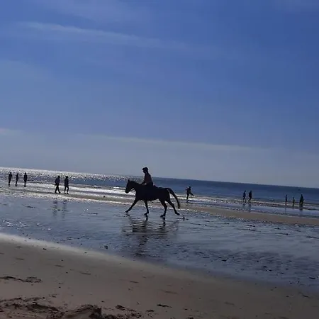 Apartment L'art De L'eau ,studio En Privee.